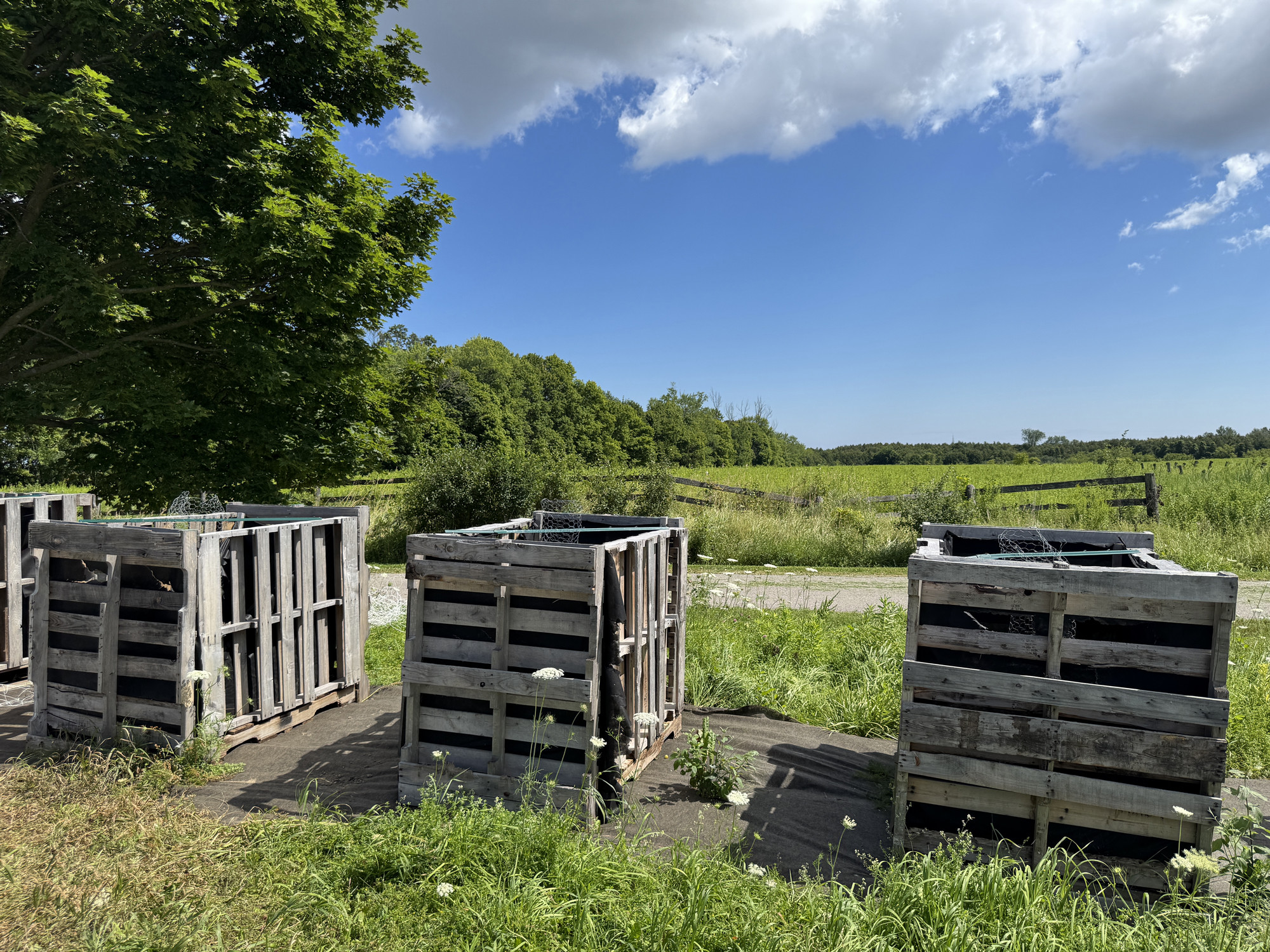 Compost bins located at the Campus Farm, made from repurposed shipping pallets. 