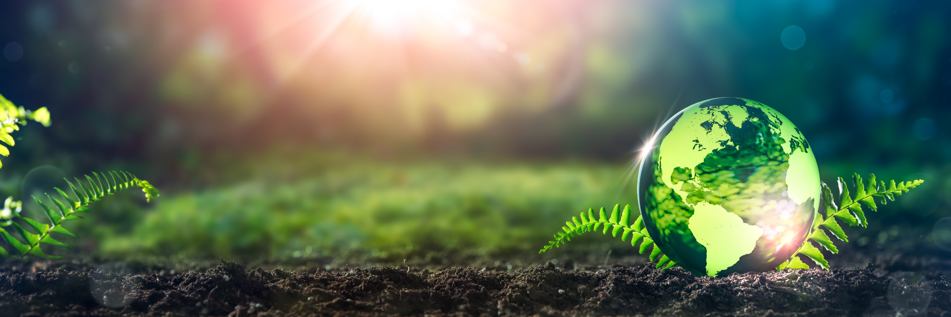 sustainability banner