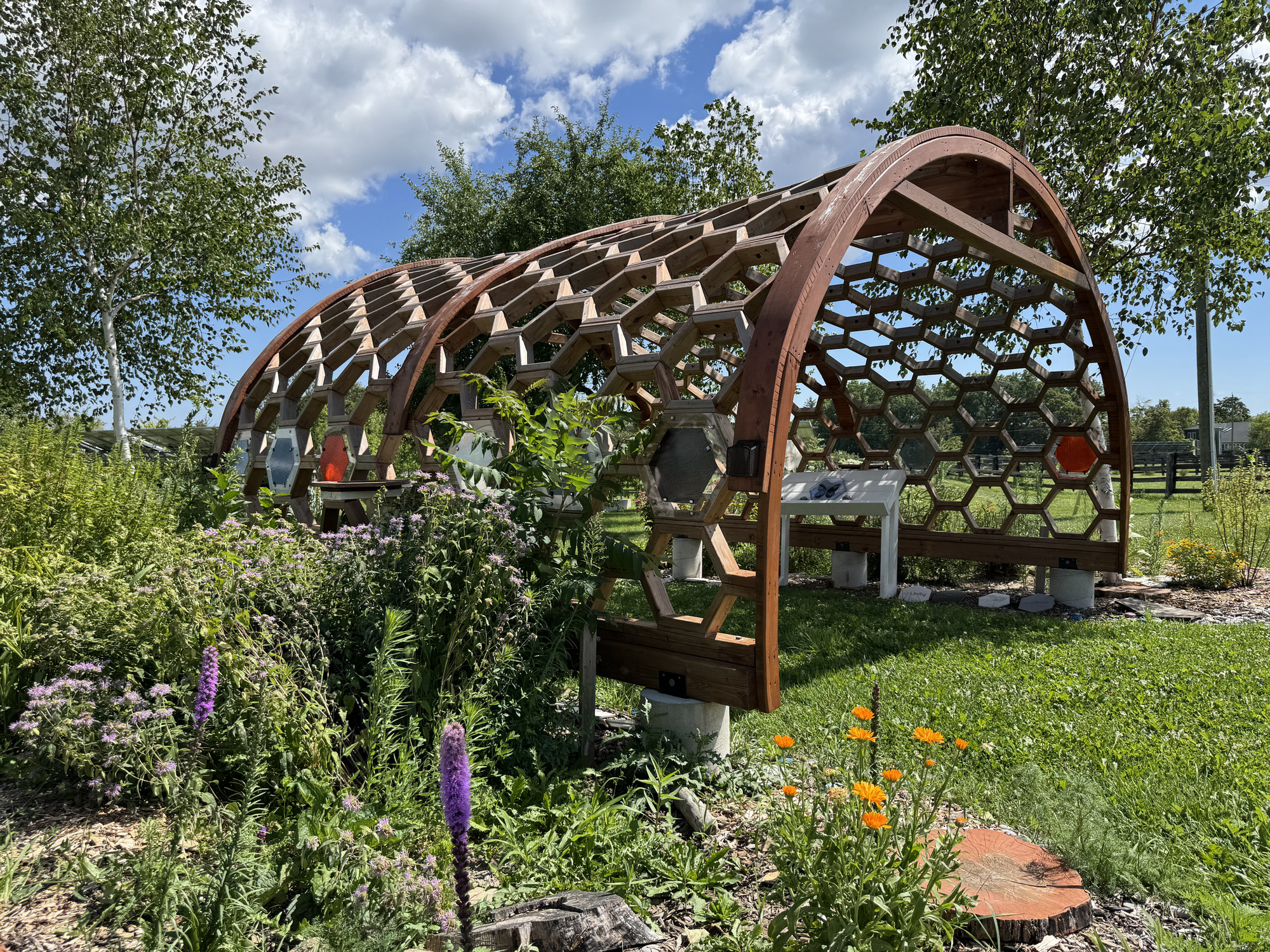 The Honeycomb Archway installed outside of the Office of Campus Infrastructure and Sustainability, with it's surrounding native garden in full bloom.