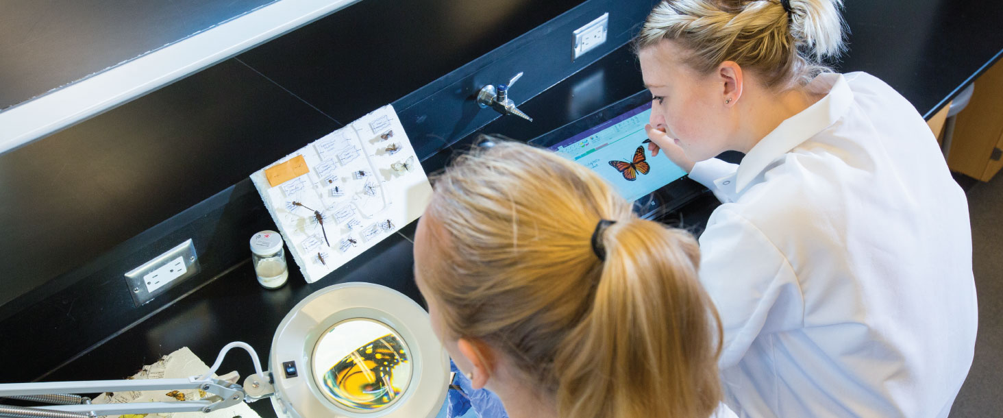 Students working in the lab in the Faculty of Science.