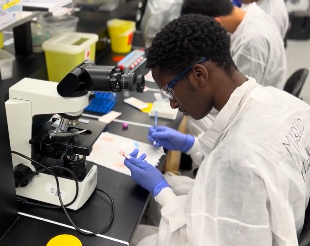 A student looks at a blood sample in the medical laboratory science lab.
