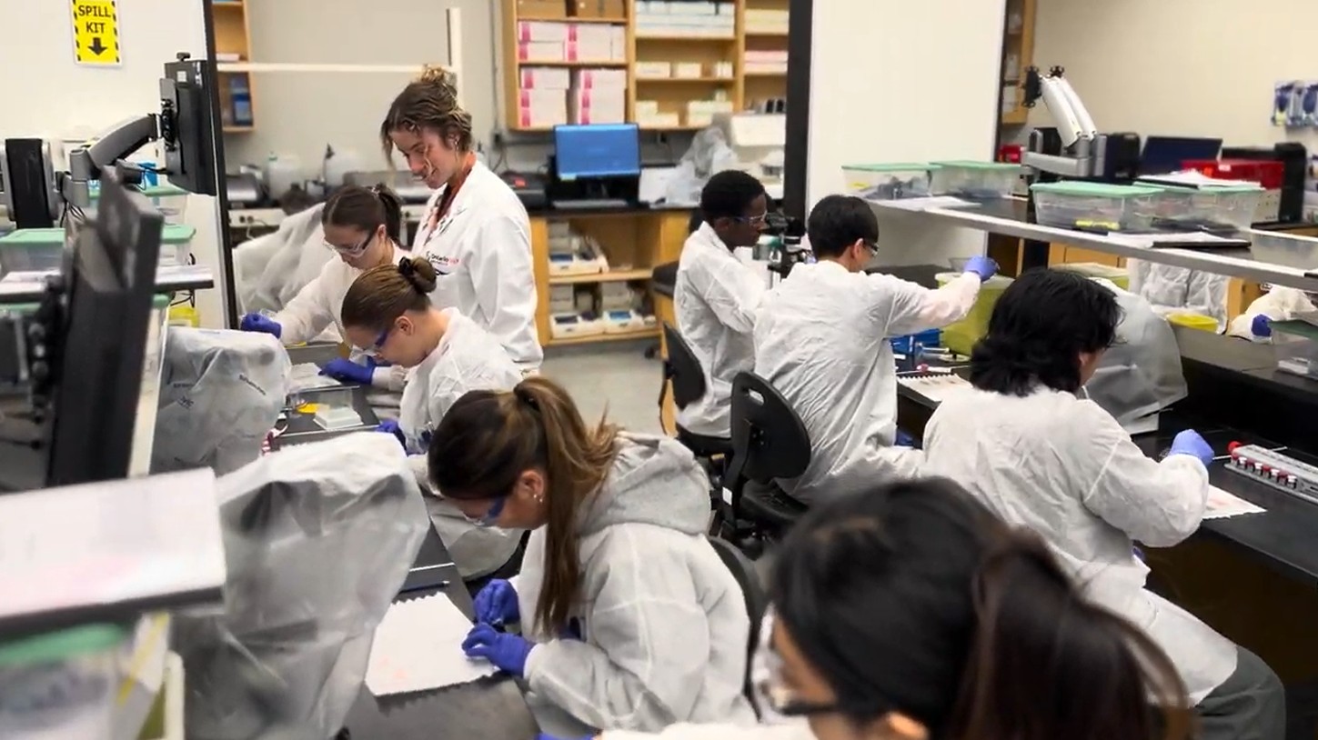 Students analyze various samples in the med lab.