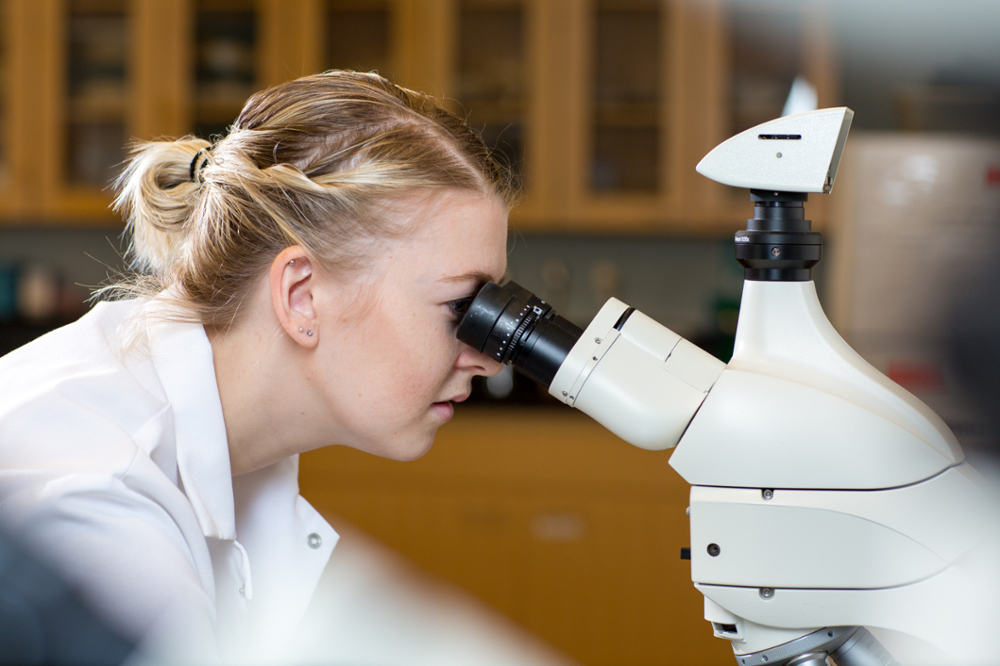 undergrad student working in a biology lab