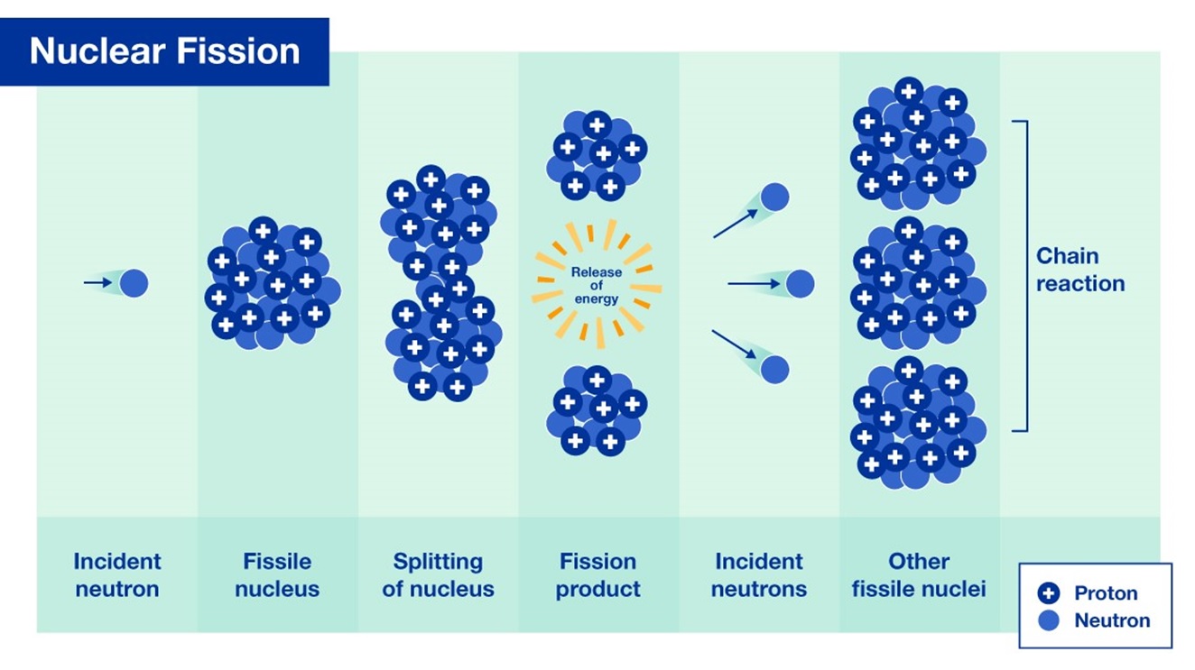 The Process of Nuclear Fission. It shows how neutrons split and hit other atoms to cause more fission to occur.