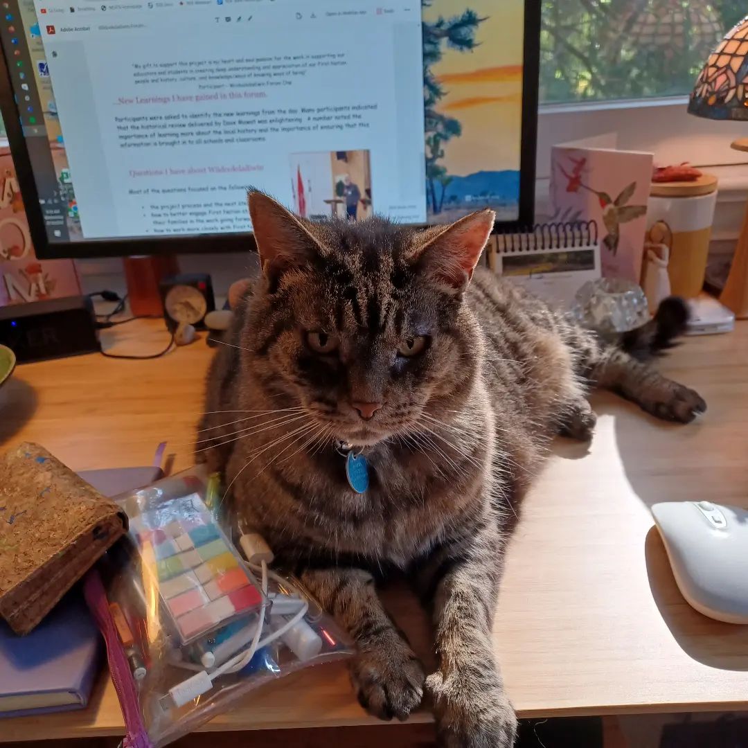 Sharing my home office with my research Study Buddy “Sanger”. Occasional petting required. - Ginny Brunton