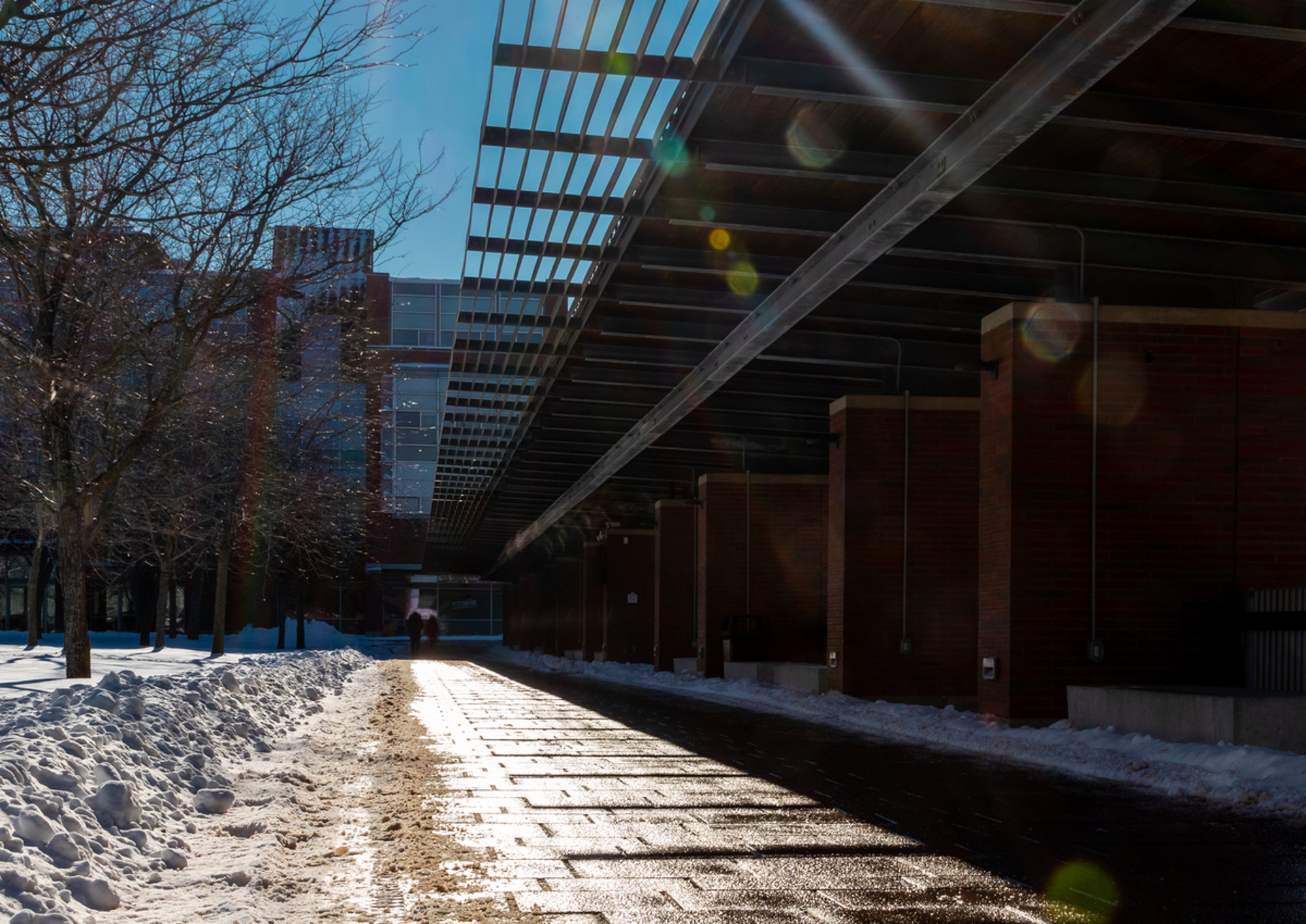 Campus in winter outside of UA building