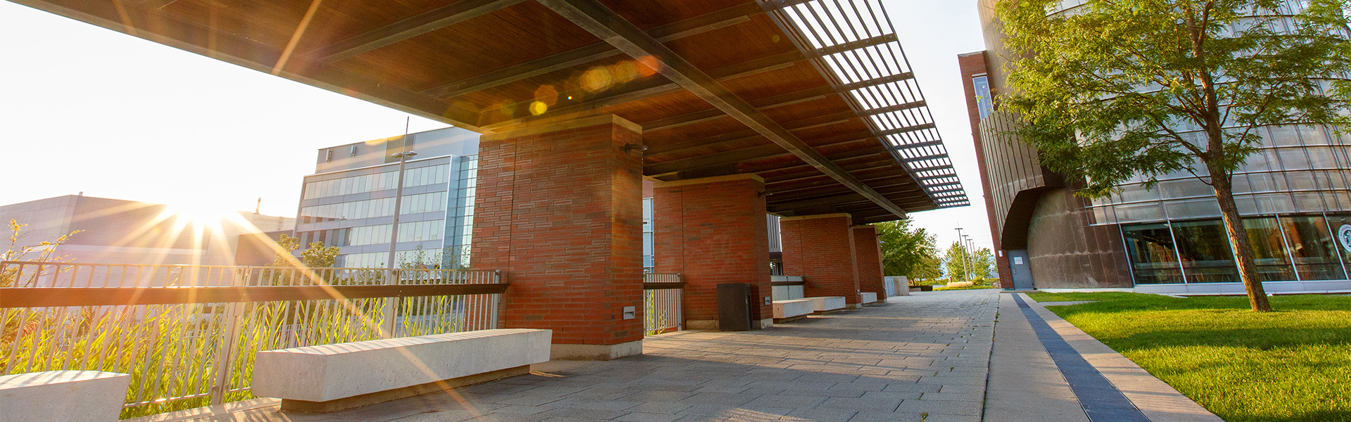 Image of the covered walkway on Polonsky Commons, facing the library.