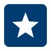 A star rating icon. By icons8.com