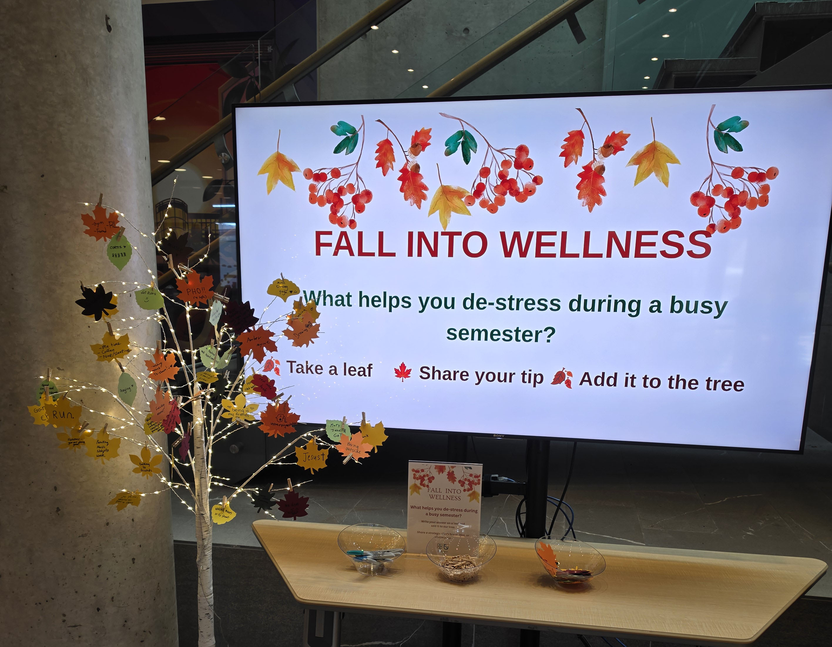 Fall Into Wellness