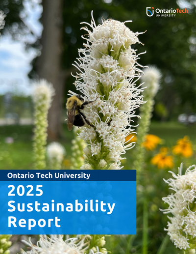 honeybee on a native flower, 2025 sustainability report cover
