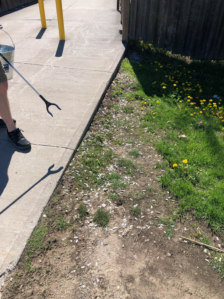 A before image of a walkway and grass area filled with cigarette butts.