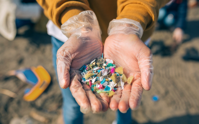 Various coloured small plastic pieces are held in a person's gloved hands.