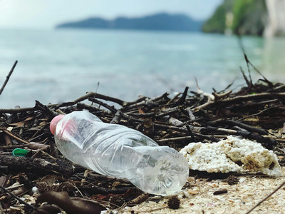 A plastic bottle sits on sand near the waterfront.