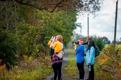 A group of people use binoculars to look at nature.