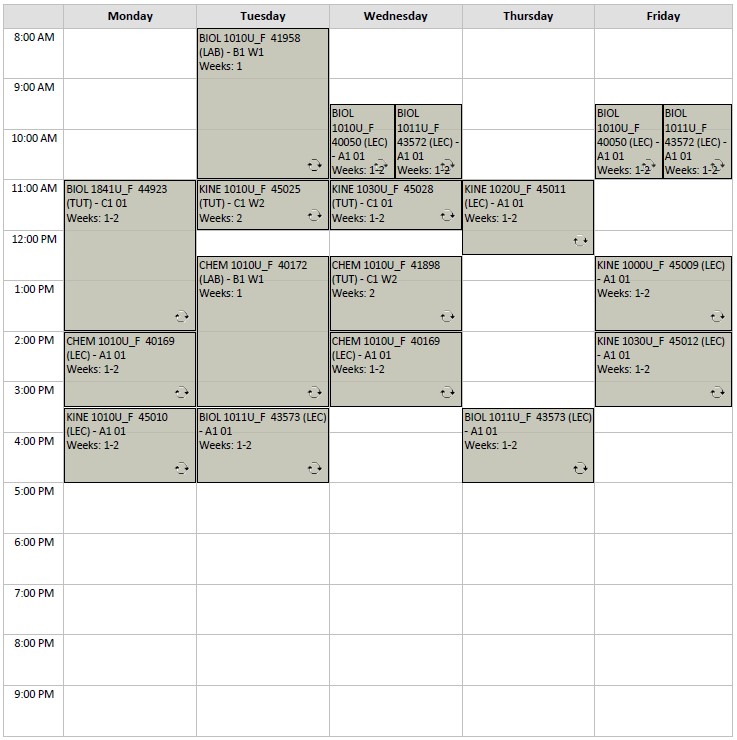 Fall Kinesiology Option A1 visual