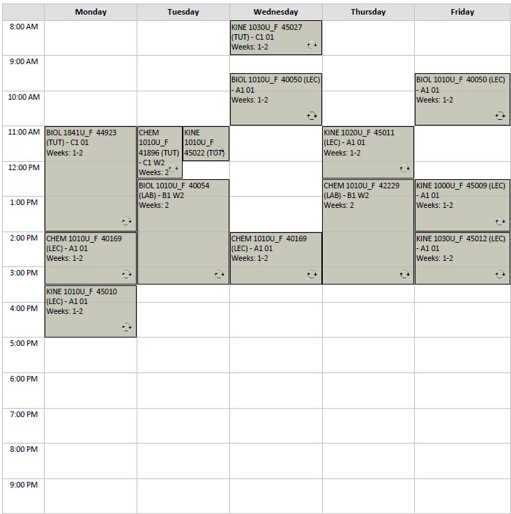 Fall Kinesiology Option A2 visual
