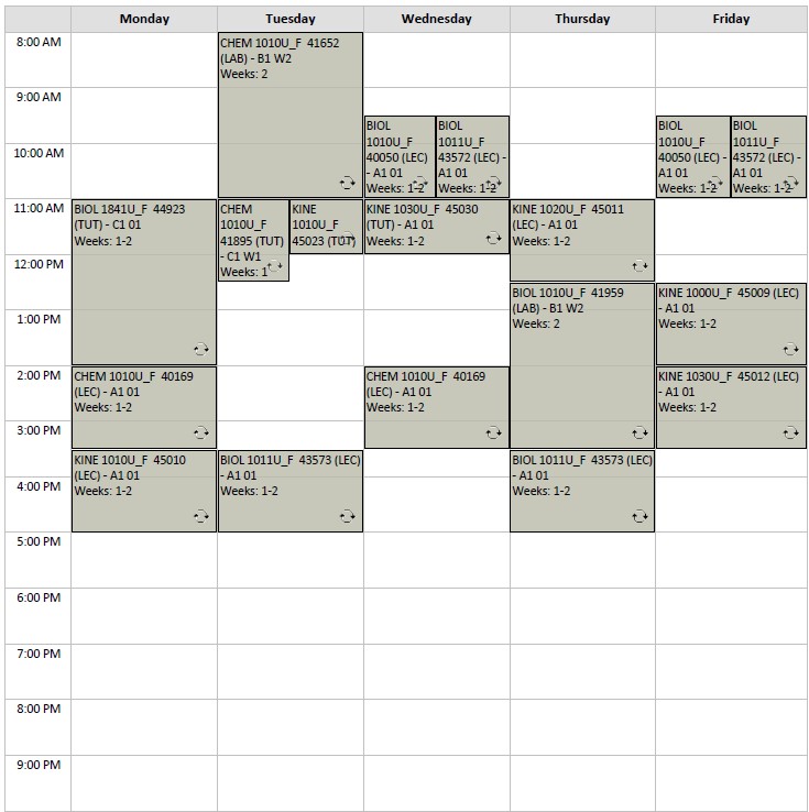 Fall Kinesiology Option A3 visual