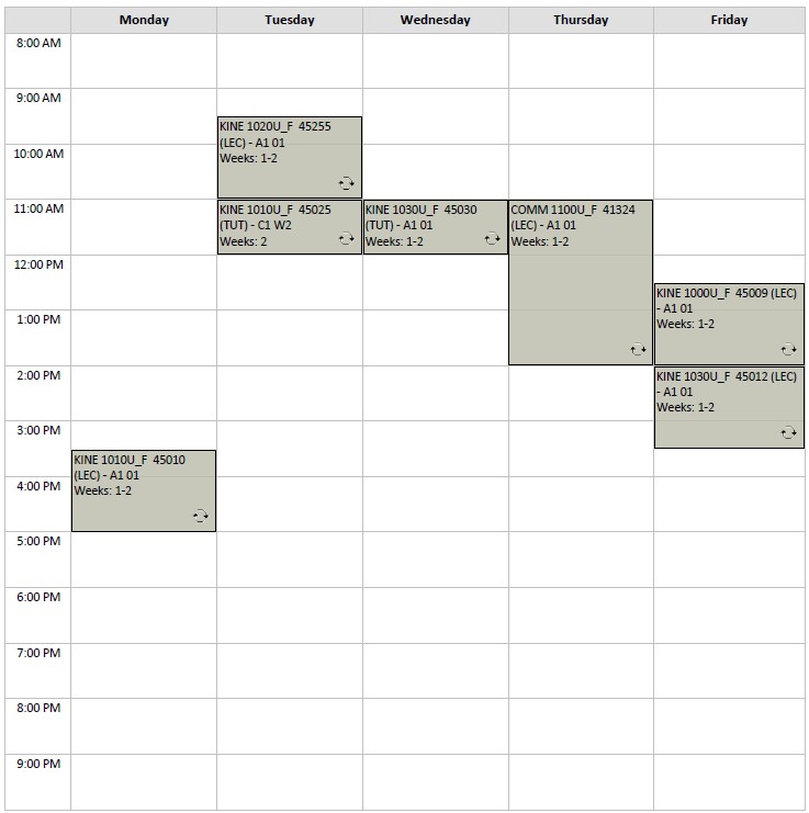 Fall Kinesiology Option B3 visual