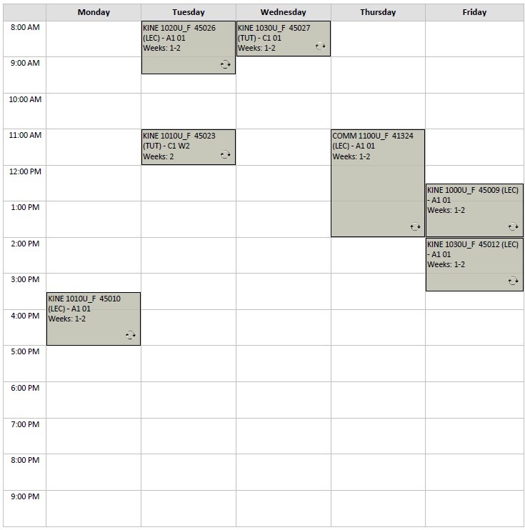 Fall Kinesiology Option B4 visual