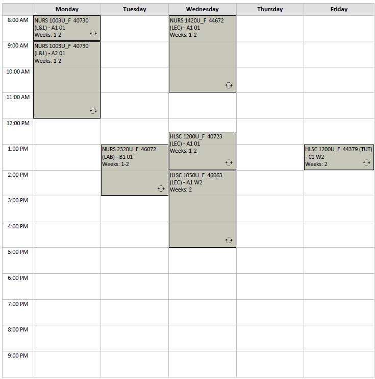 Fall Nursing Block 1 visual