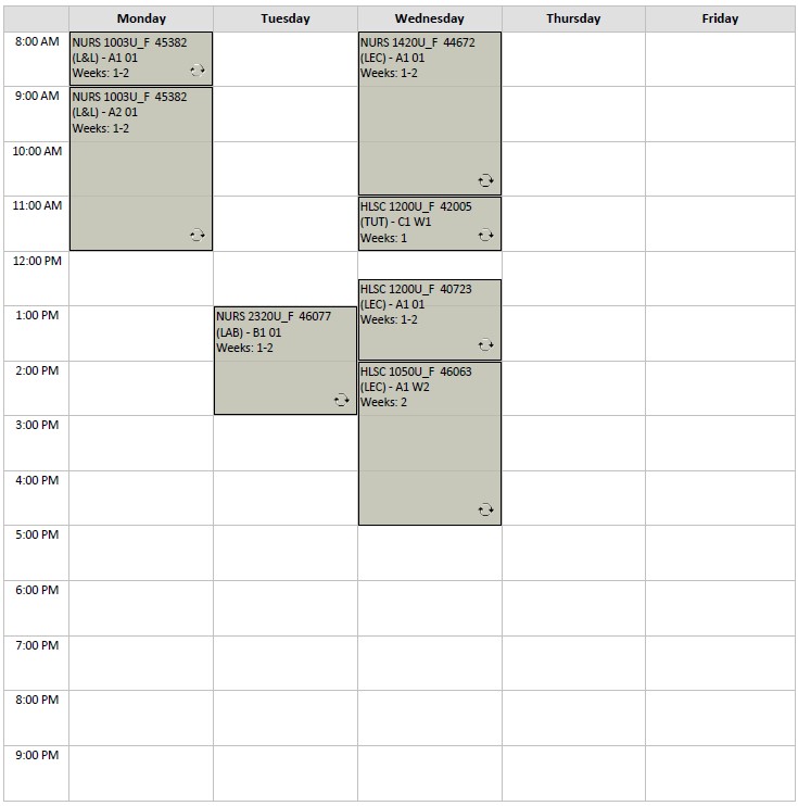 Fall Nursing Block 2 visual