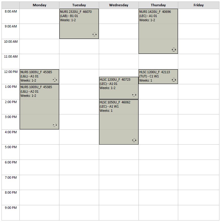 Fall Nursing Block 4 visual