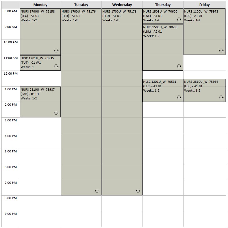 Winter Nursing block 1 visual