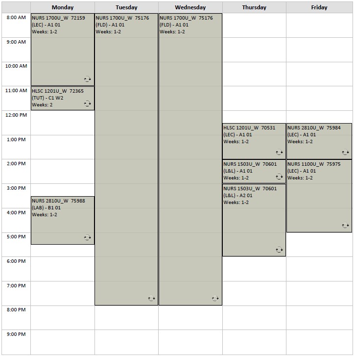 Winter Nursing block 2 visual