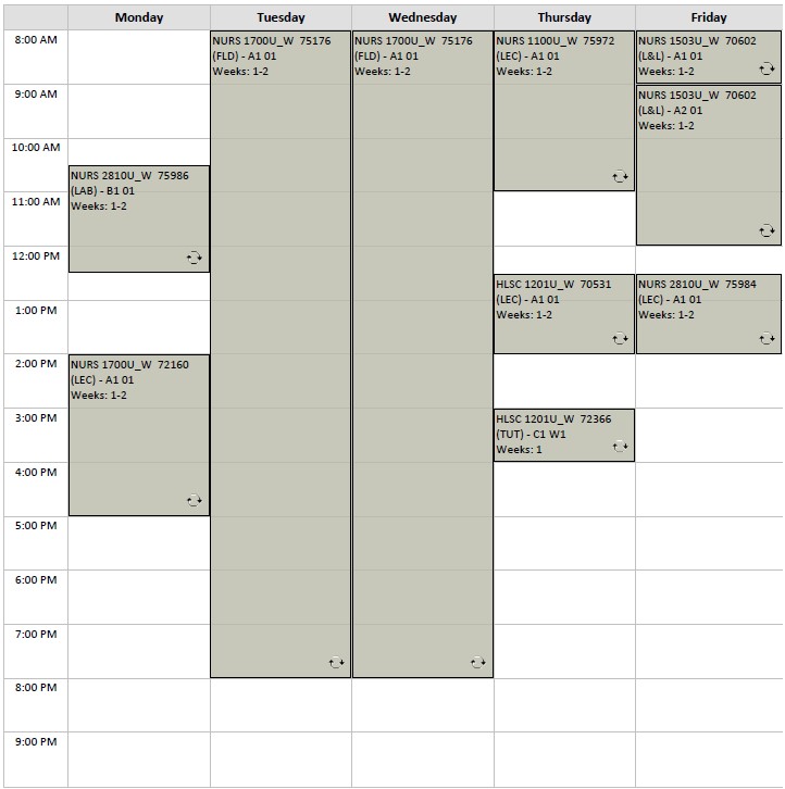 Winter Nursing block 3 visual