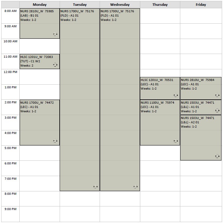 Winter Nursing block 4 visual