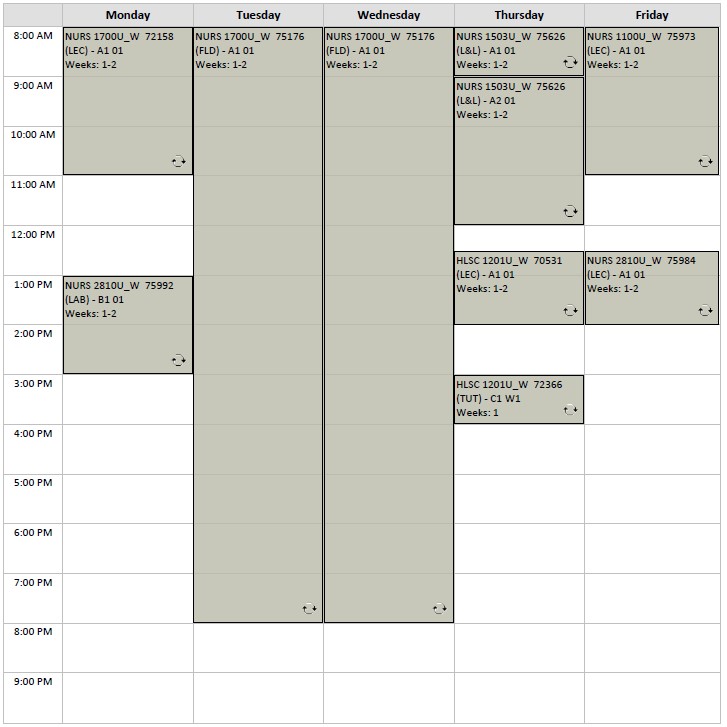 Winter Nursing block 5 visual