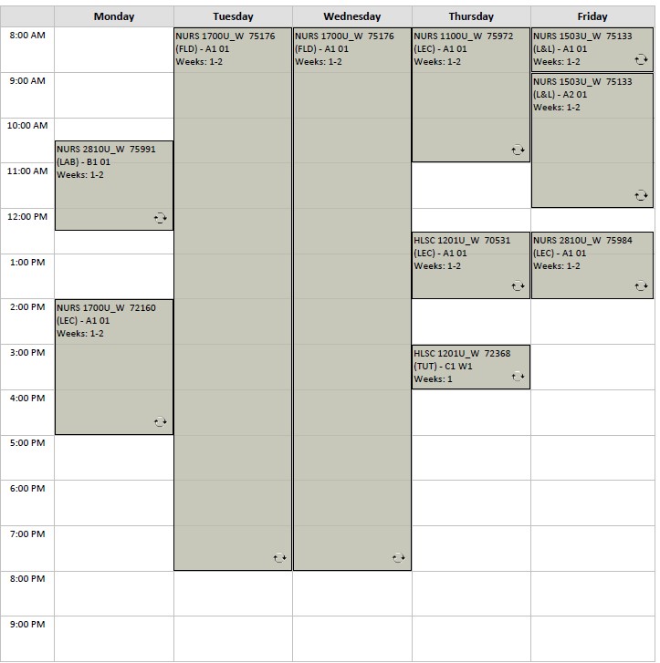 Winter Nursing block 7 visual