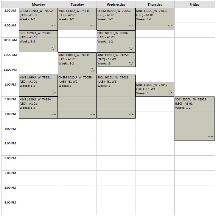 Winter Kinesiology Option A2 visual