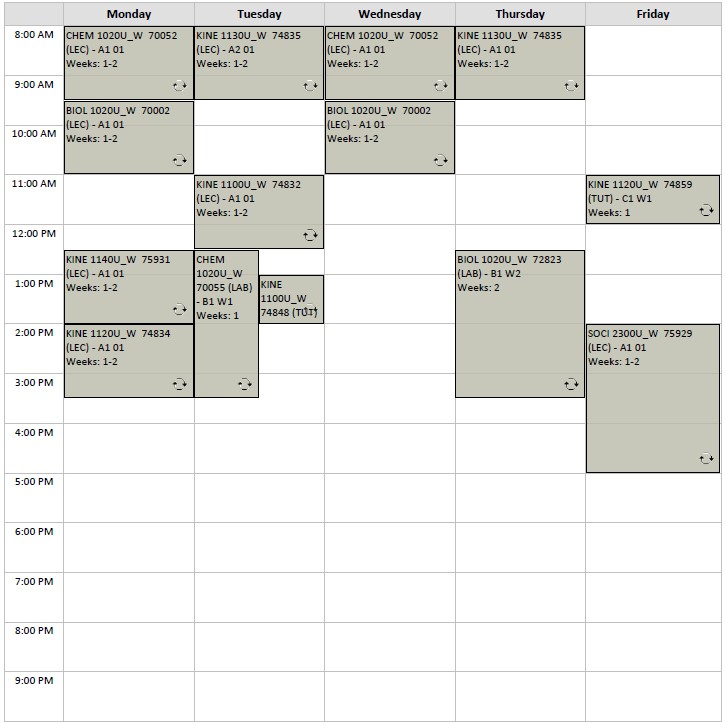 Winter Kinesiology Option A3 visual