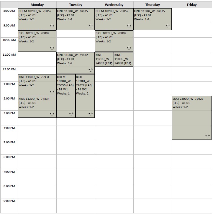 Winter Kinesiology Option A4 visual