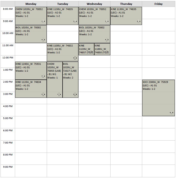 Winter Kinesiology Option A5 visual