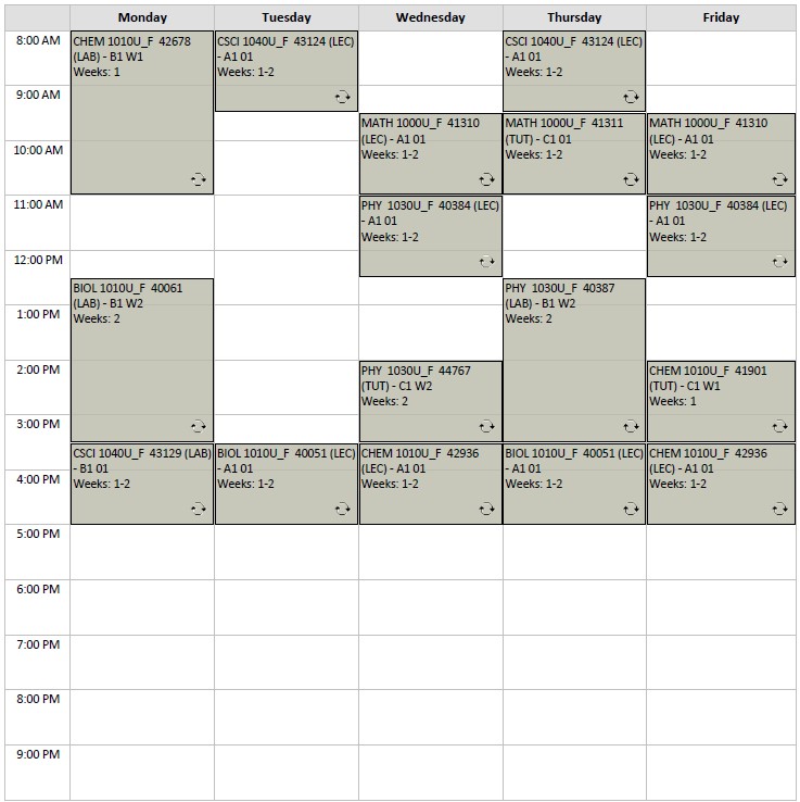 Fall Physics Option A1 visual