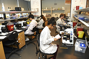 Students in a medical lab.