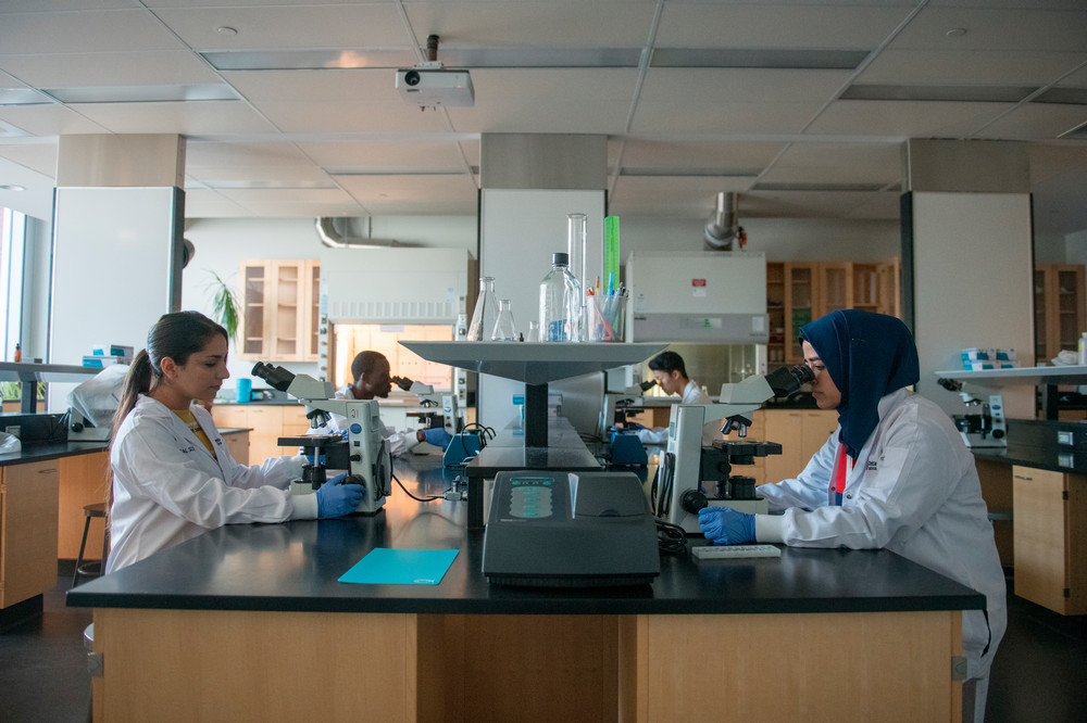 Students in a medical lab.