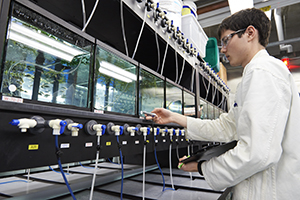 A male student does research on aquariums in a lab