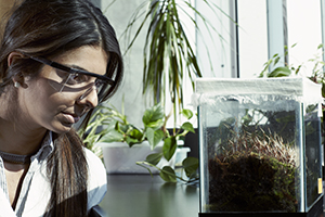 Female scientist observing a plant in a lab