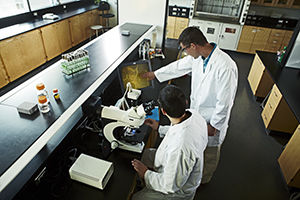 Two student using a microscope in a laboratory 