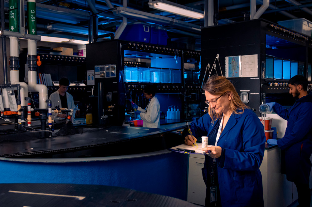 Student in a lab