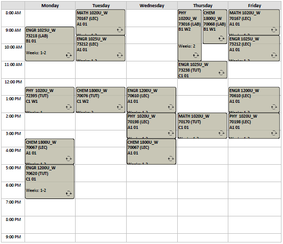 Winter - Electrical Engineering - Option 1 