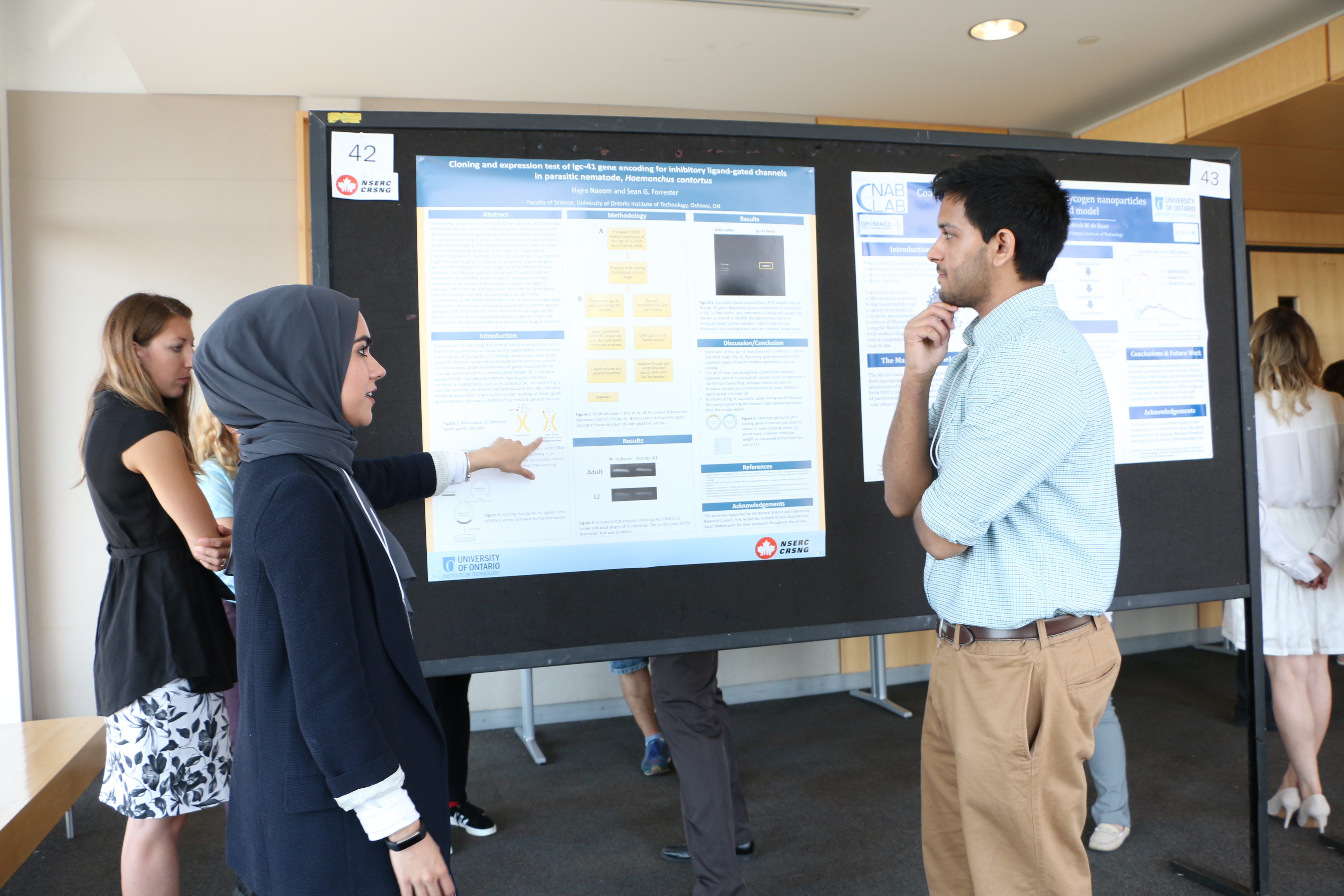 Female student in hijab presenting poster on a black bulletin board for research competition to male who is deep in thought and wearing khakis. Other people are standing in the background.