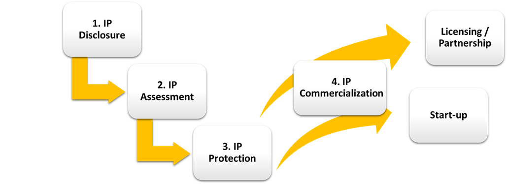 Image outlining commercialization process steps. All the steps are written in a rectangular bubble text box with yellow arrows pointing to the next step. Step one reads "IP Disclosure" and has a yellow arrow pointing to step two which reads "IP Assessment" and points to step three. Step three reads "IP Protection". Step four reads "IP Commercialization" and points to 2 other text boxes. One reads "Licensing/Partnership" and the second one reads "Start-up".