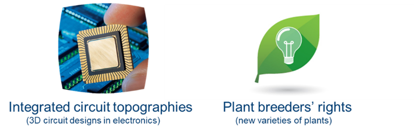 referencing intangible creations such as, integrated circuit topogrophies and plant breeders rights.