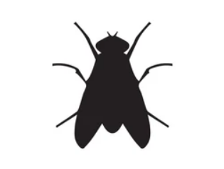 Logo of an insect for entomology lab