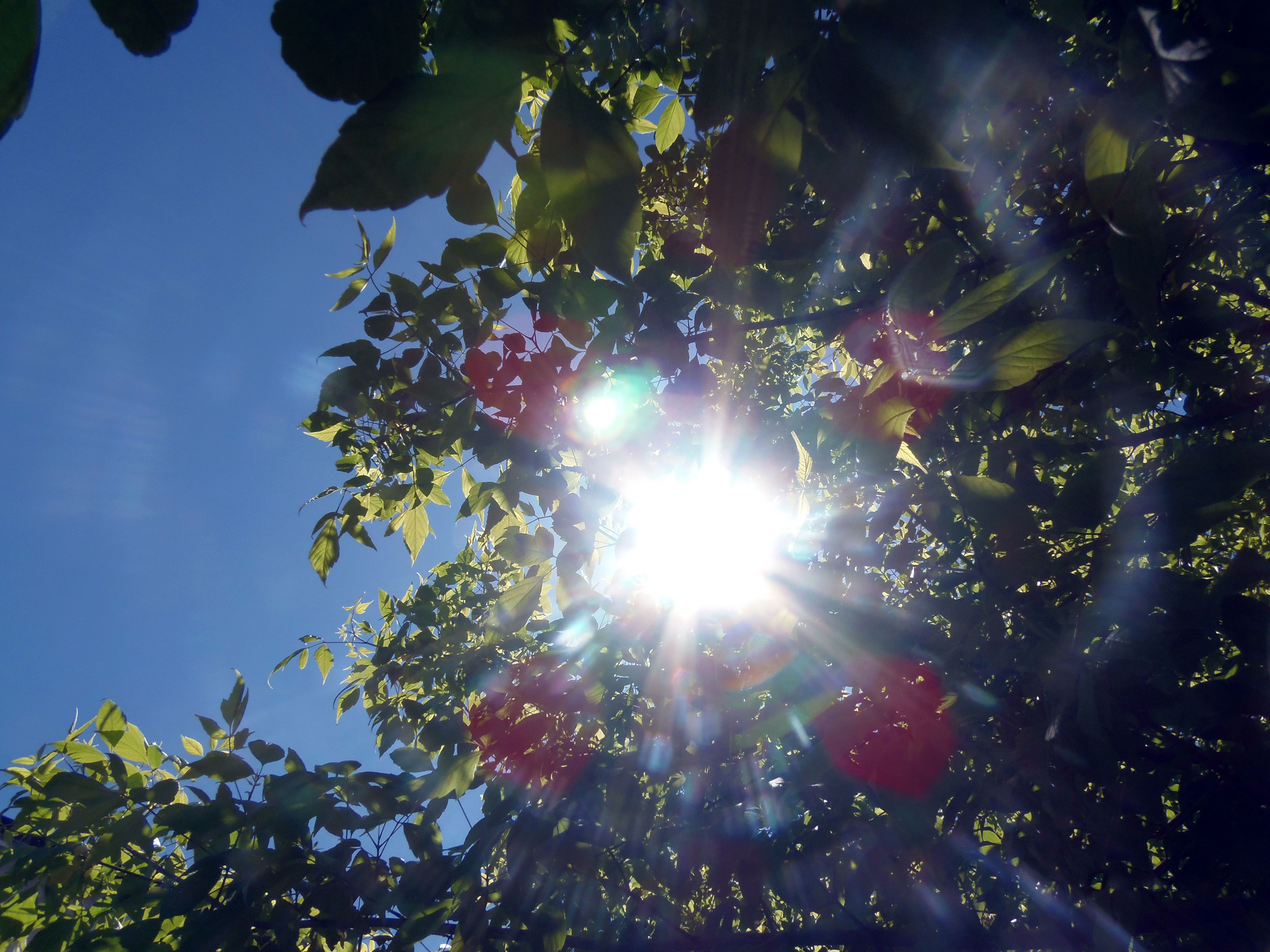 thumbnail of sunny sky for blog "how to navigate hot summers!"