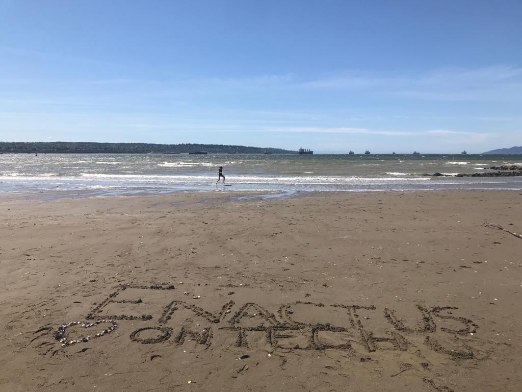 The word "enactus" carved in sand